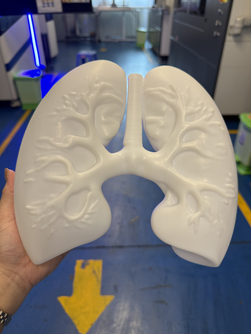 Dịch vụ in 3D theo yêu cầu
